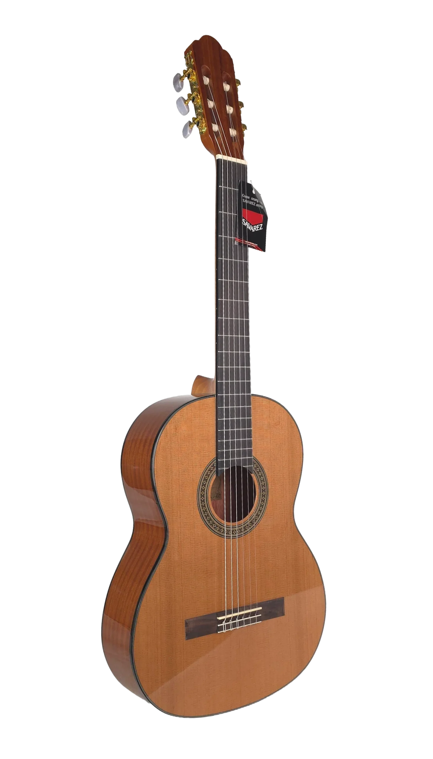 گیتار کلاسیک آریا مدل AK-30